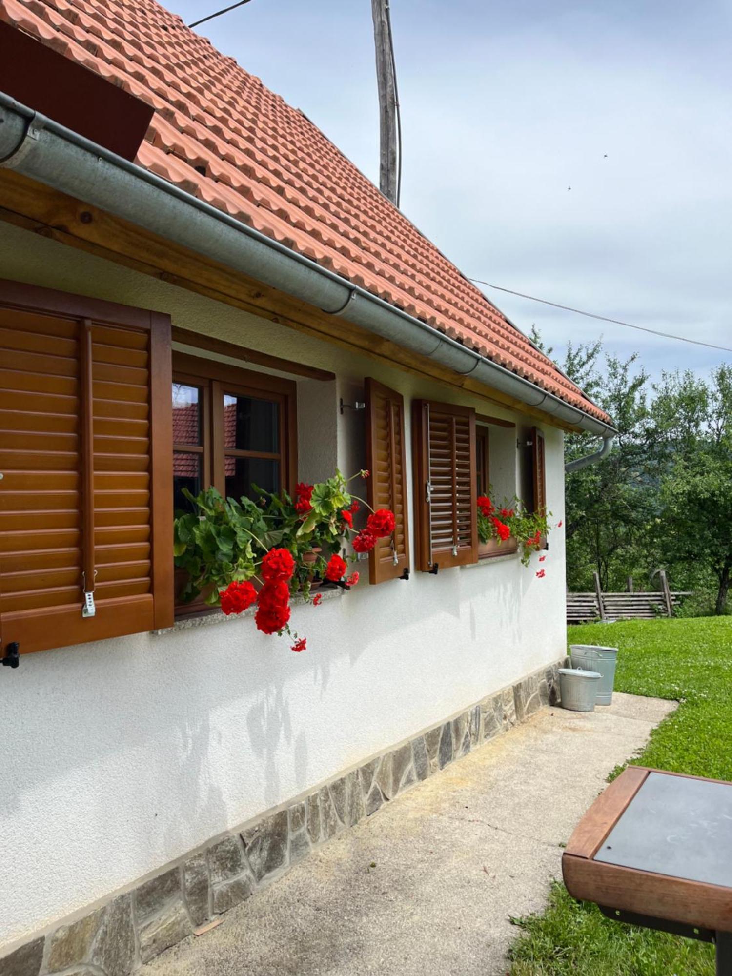 Domacija Brdar Villa Adlesici ภายนอก รูปภาพ