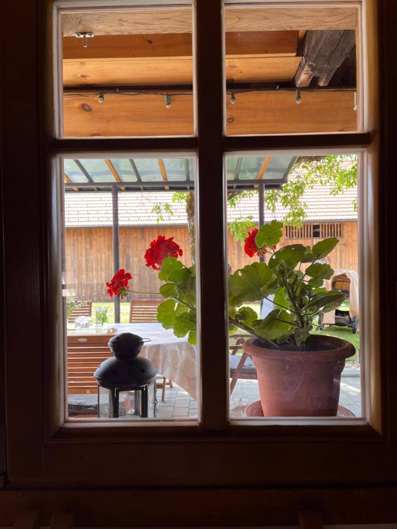 Domacija Brdar Villa Adlesici ภายนอก รูปภาพ
